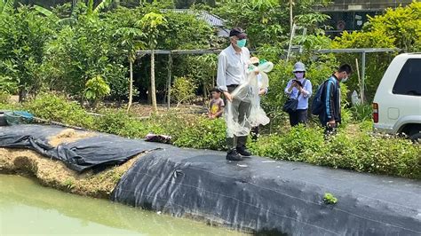 山連魚|溪流水域生態環境